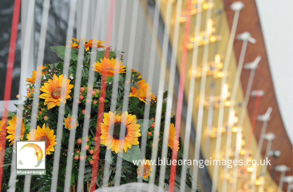 Sunflower wedding flowers at Hunton Park