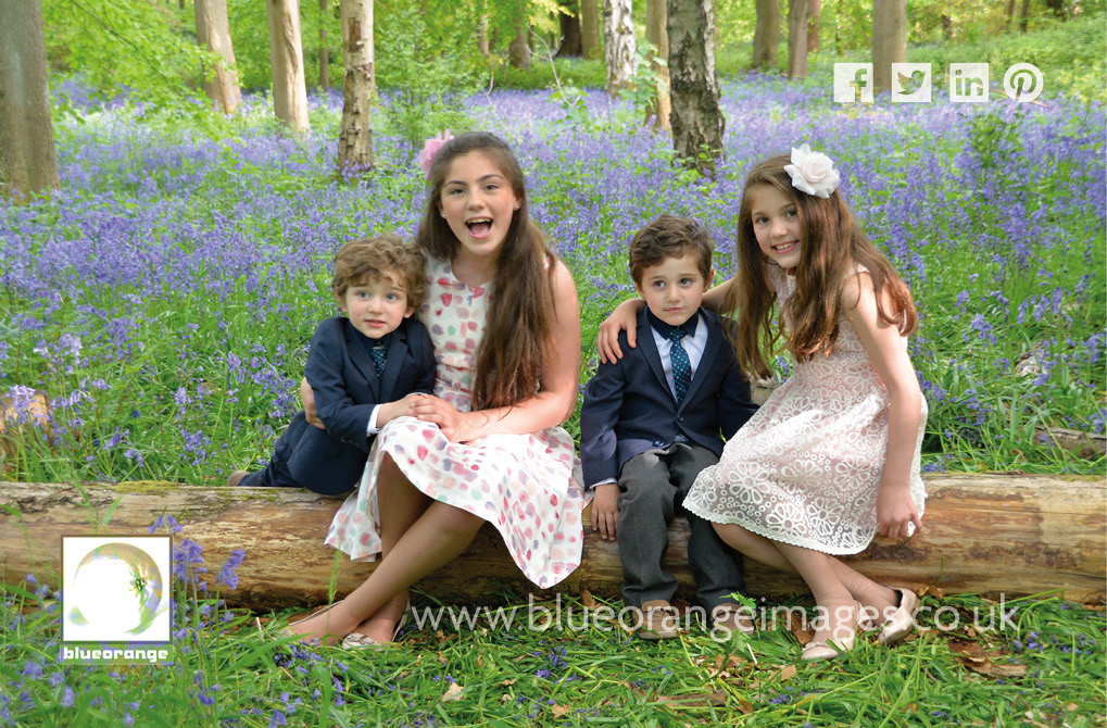 Blue Orange Images family photography portraits, Whippendell Woods, Watford