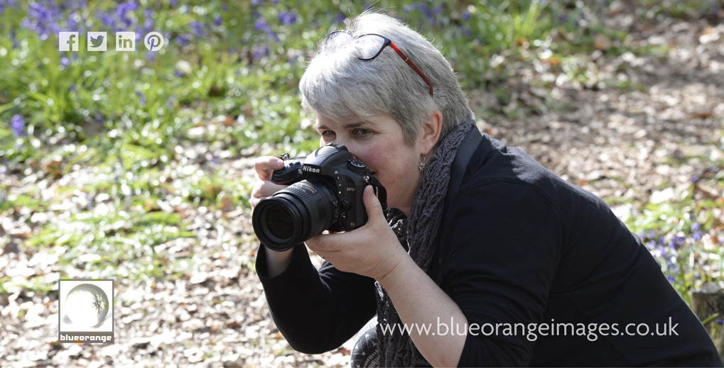 Blue Orange Images - Edna photographing in Whippendell Woods 4470