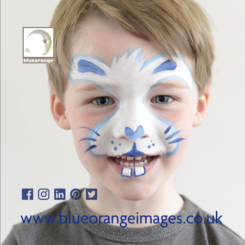 Animal face painting design, Blue Orange Images, Abbots Langley, Herts